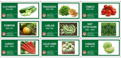 VibeX 9-Varieties-Top Selling Vegetable Seeds Combo Seed(315 per packet)