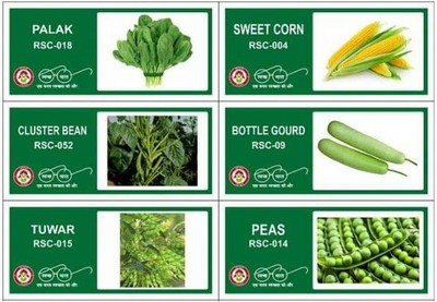 VibeX 6-Varieties-F1 Hybrid Vegetable Seeds Combo Seed(210 per packet)