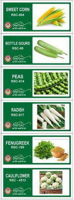 VibeX 6-Varieties-Hybrid Vegetable Seeds Combo Seed(210 per packet)