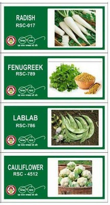 VibeX 4-Varieties-Vegetable Seeds Combo Pack Seed(140 per packet)