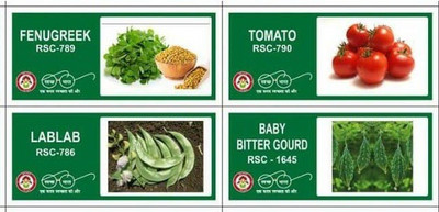 VibeX 4-Varieties-Hybrid Vegetable Seeds Combo Seed(140 per packet)