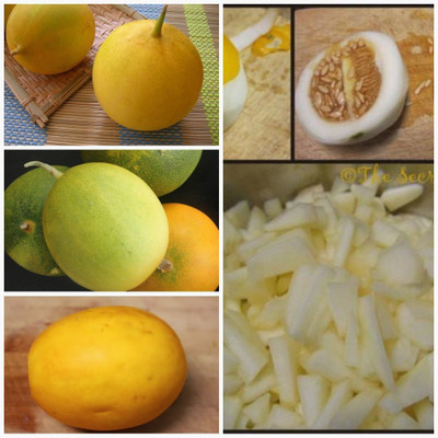 Paudha Cucumber Yellow round Seed(30 per packet)