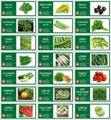 VibeX 21-Varieties-Hybrid Vegetable Seeds Combo Seed(735 per packet)