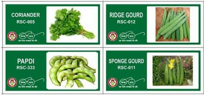 VibeX 4-Varieties-Hybrid Vegetable Seeds Combo Seed(140 per packet)