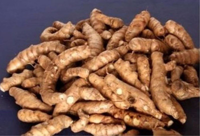 saraswati traders Precious Curcuma Seed(15 per packet)