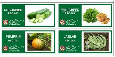 VibeX 4-Varieties-F1 Hybrid Vegetable Seeds Combo Seed(140 per packet)