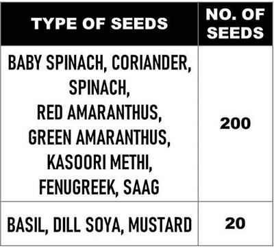 CYBEXIS 11-Varieties-Hybrid 11 Variety of Fruits and Vegetable Seeds Seed(10 g)