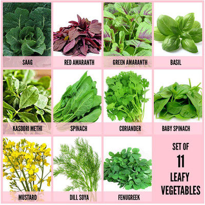 CYBEXIS 11-Varieties-Set of 11 Leafy Vegetables Combo Seed(10 g)