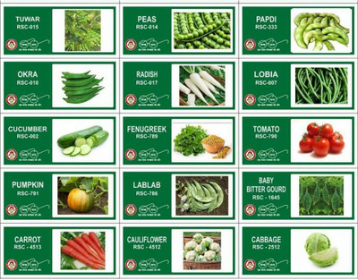 CYBEXIS 14-Varieties-F1 Hybrid Vegetable Seeds Combo Seed(10 g)