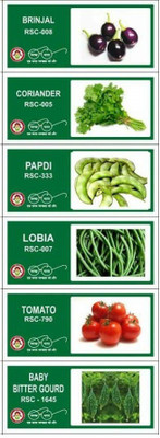 VibeX 6-Varieties-F1 Hybrid Vegetable Seeds Combo Seed(210 per packet)