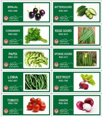 CYBEXIS 10-Varieties-Top Selling Vegetable Seeds Combo Seed(10 g)