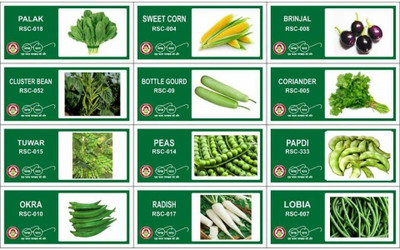 CYBEXIS 12-Varieties-F1 Hybrid Vegetable Seeds Combo Seed(10 g)