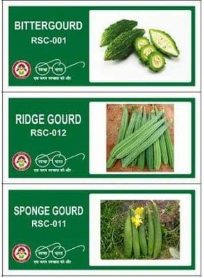 CYBEXIS 3-Varieties-F1 Hybrid Vegetable Seeds Combo Seed(10 g)