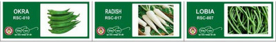 VibeX 3-Varieties-F1 Hybrid Vegetable Seeds Combo Seed(105 per packet)