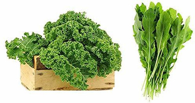 CYBEXIS Collard Seeds + Arugula Seeds Seed(10 g)