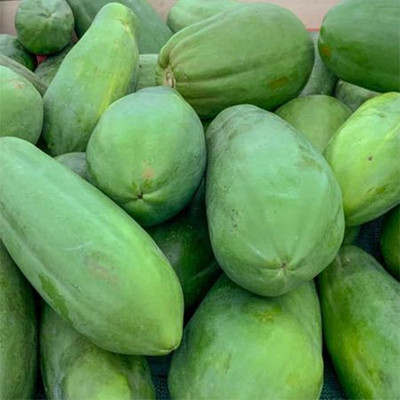 Paudha Papaya Seed(20 per packet)