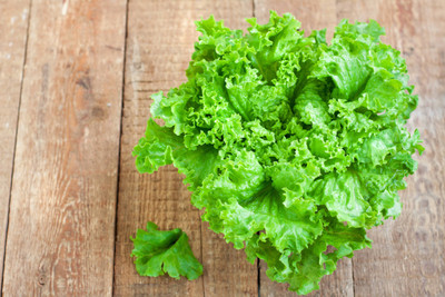 Mozette Hybrid Lettuce Curly Seed(70 per packet)