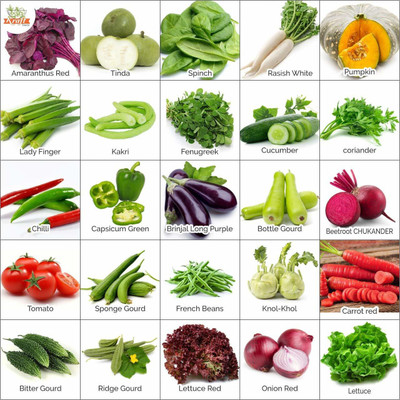VibeX Vegetable Seeds 25 Varieties Of Seeds Tested And Packed Seed(875 per packet)
