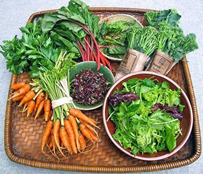 CYBEXIS Super Mixed veg seeds combo - 12 packets Seed(10 g)