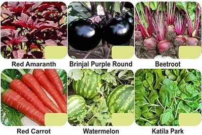 CYBEXIS 6-Varieties-F1 Hybrid Vegetable Seeds Combo Seed(5 g)