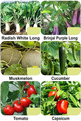 CYBEXIS 6-Varieties-F1 Hybrid Vegetable Seeds Combo Seed(5 g)