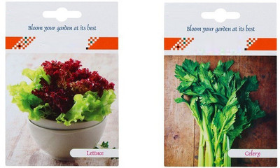VibeX 2-Varieties-Lettuce, Celery Seed(70 per packet)