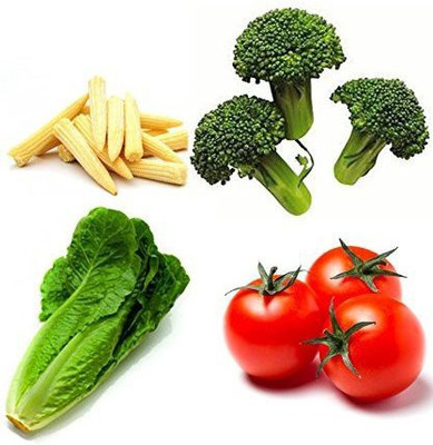 VibeX vegetable seed Seed(140 per packet)