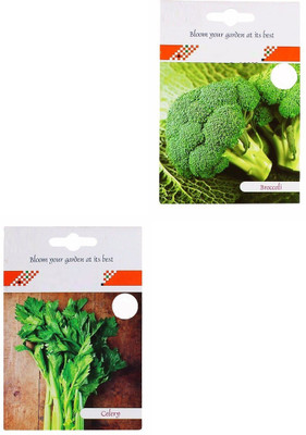 VibeX 2-Varieties-Broccoli, Celery Seed(70 per packet)