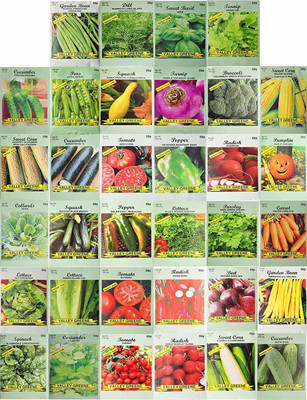 CYBEXIS Set of 34 Pack Vegetable & Herb Seeds Seed(10 g)