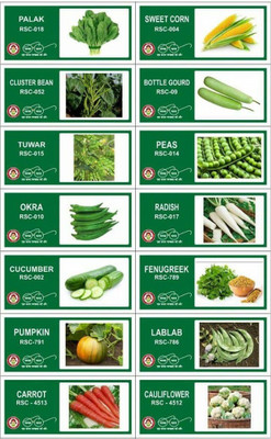VibeX 14-Varieties-Top Selling Vegetable Seeds Combo Seed(490 per packet)