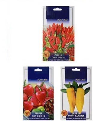 VibeX vegetable seed Seed(105 per packet)