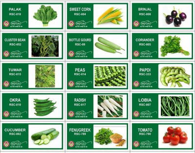 CYBEXIS 15-Varieties-Top Selling Vegetable Seeds Combo Seed(10 g)
