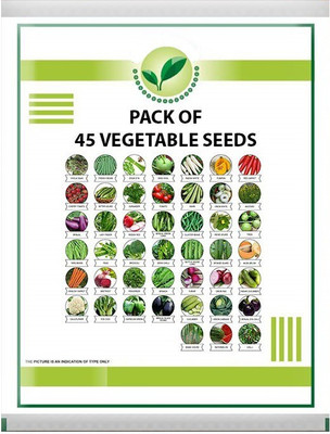 VibeX Organic Seeds Combo Pack Seed(1575 per packet)
