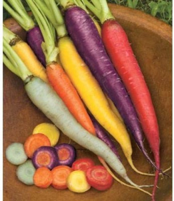 VibeX Carrot Red Long Mixed Colour Seeds - Carrot Seeds Non Gmo Seed(175 per packet)