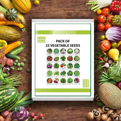 CYBEXIS Heirloom Vegetable Seeds Seed(10 g)