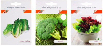 CYBEXIS 3-Varieties-Chinese Cabbage, Broccoli, Lettuce Seed(5 g)