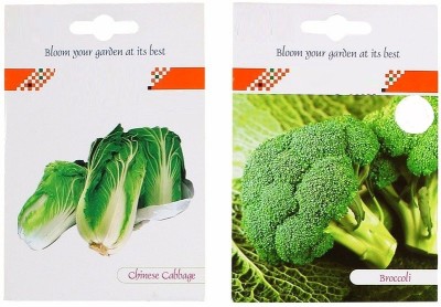 VibeX 2-Varieties-Chinese Cabbage, Broccoli Seed(70 per packet)