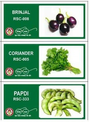 VibeX 3-Varieties-Hybrid Vegetable Seeds Combo Seed(105 per packet)