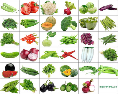 CYBEXIS 35 Varieties Of Seeds With Instruction - 1600+ Seeds Seed(10 g)