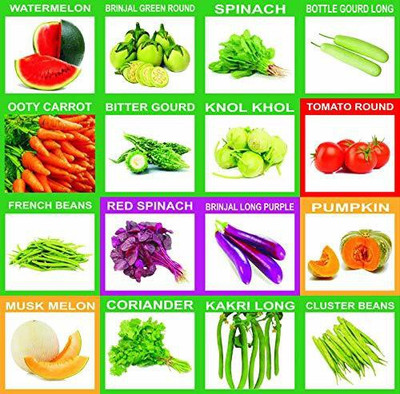 CYBEXIS (1985+) 46 Varieties of Vegetables Seeds Combo Seed(10 g)