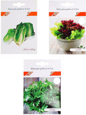 CYBEXIS 3-Varieties-Chinese Cabbage, Lettuce, Parsley Seed(10 g)