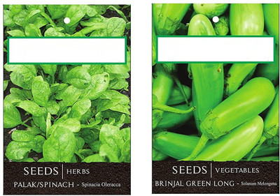 CYBEXIS 2-Varieties-Spinach, Brinjal Green Long Seed(10 g)