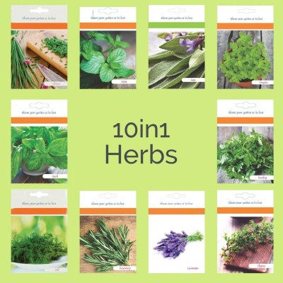 CYBEXIS 10 Variety-Heirloom of Exclusive Herb Seeds Collection Seed(10 g)