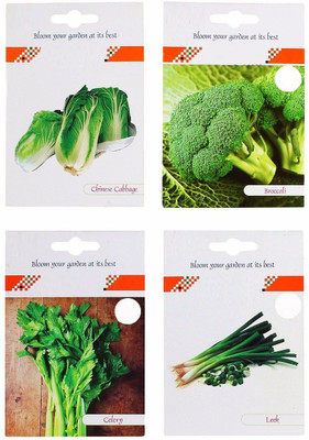 VibeX 4-Varieties-Chinese Cabbage, Broccoli, Celery, Leek Seed(140 per packet)