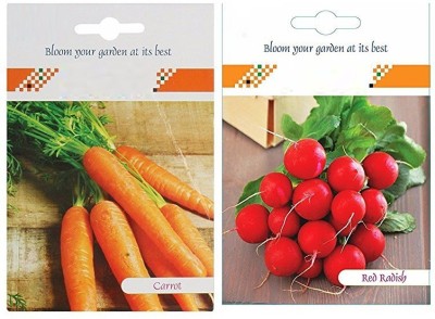 VibeX 2-Varieties-Carrot, Red Raddish Seed(70 per packet)