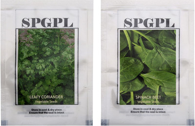 VibeX Combo Of Leafy Coriander Vegetable Seeds & Spinach Beet Vegetable Seeds Seed(70 per packet)