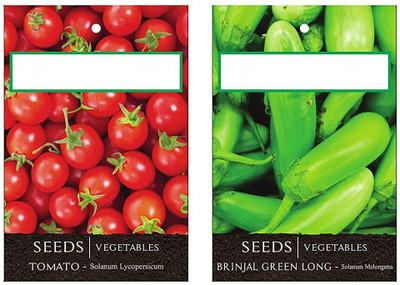 CYBEXIS 2-Varieties-Tomato, Brinjal Green Long Seed(10 g)