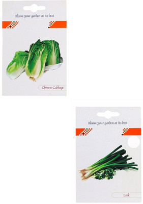 VibeX 2-Varieties-Chinese Cabbage, Leek Seed(70 per packet)