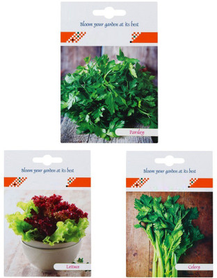 CYBEXIS 3-Varieties-Lettuce, Celery, Parsley Seed(10 g)