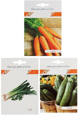 CYBEXIS 3-Varieties-Carrot, Leek, Squash Seed(10 g)